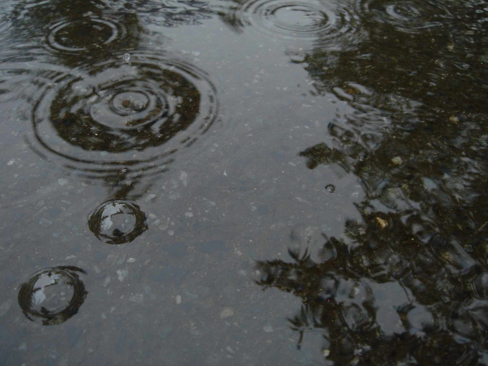 雨の中の遺品整理 ハートケア工房 日々の遺品整理のお仕事日記